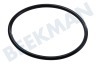 Gaggia Kaffeemaschine DM0041/082 O-Ring Boiler Abdichtung 167 EPDM 70 SH DM = 70mm