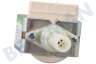 Philips Kaffeemaschine Pumpe Ulka EFM