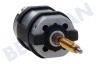 Philips Kaffeemaschine Motor Antriebsmotor 120 V P124