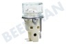 Smeg Herd Lampe Komplett mit Glas und Fassung
