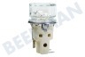 Smeg Herd Lampe Komplett mit Glas und Fassung