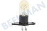 4713-001524 Lampe für Mikrowelle 20W 230V 104ma