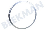 Siemens Waschmaschine 666637, 00666637 Türkante Kunststoff geeignet für u.a. Silence 8 kg, EcoLogixx 7