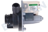 Juno 1326630207 Waschmaschine Pumpe geeignet für u.a. LF6650 Ablaufpumpe -Askoll- geeignet für u.a. LF6650