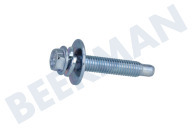 Bolzen geeignet für u.a. F1403TDS, WD14340FD des Rotors