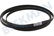 Zanussi-electrolux 1250125034  Spannrolle geeignet für u.a. Z 100-MD 110R Kunststoff -breit- geeignet für u.a. Z 100-MD 110R