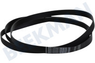 Candy 40012518  Riemen geeignet für u.a. ROH9A3TES, DXH9A3TCEXS 1992 PH11 geeignet für u.a. ROH9A3TES, DXH9A3TCEXS