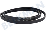 Keilrippenriemen geeignet für u.a. T243, T242, T233C, T4163 Hutchinson 1900 J5