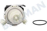 Husqvarna electrolux 140002240020 Geschirrspüler Pumpe geeignet für u.a. GA60SLI, ESL6362, F55533 Umwälzpumpe geeignet für u.a. GA60SLI, ESL6362, F55533