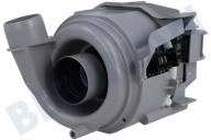 Bosch 12019962  Pumpe geeignet für u.a. SK75M522EU, SKE52M65EU Umwälzpumpe, Wärmepumpe geeignet für u.a. SK75M522EU, SKE52M65EU