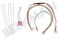 Kabelbaum geeignet für u.a. SMS58M08EU, SMS53M02EU Umwälzpumpe