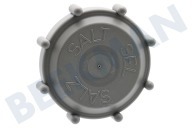 Hisense 514536 Spülmaschine Kappe des Salzbehälters geeignet für u.a. VA3013RT, VA8017SRT, DFI633B06