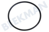 Etna 556917 Geschirrreiniger Abdichtung Umwälzpumpe geeignet für u.a. VW549ZT, VW544ZT, GVW476RVS