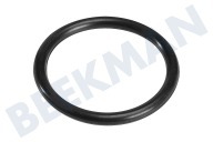 Etna 148509 88017922 Spülmaschine Ring geeignet für u.a. TFI8017, EVW8060 Von Standrohr 31.5x3.55 geeignet für u.a. TFI8017, EVW8060