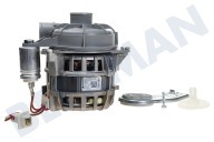 Brandt 1740701900 Spülmaschinen Pumpe geeignet für u.a. DFS2531, DIS1520, DSFS6530 Umwälzpumpe, Motor geeignet für u.a. DFS2531, DIS1520, DSFS6530