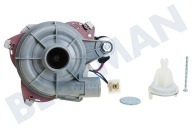 Gram 1740703500 Spülmaschine Pumpe geeignet für u.a. DFN1436, DSFN6620 Umwälzpumpe geeignet für u.a. DFN1436, DSFN6620