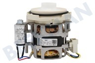 Etna 556161 Spülautomat Pumpe geeignet für u.a. GI53110, GU64315W Verkehr geeignet für u.a. GI53110, GU64315W