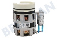 Mora 453854 Geschirrspülautomat Pumpe geeignet für u.a. GV6SY2W, GV54311 Verkehr geeignet für u.a. GV6SY2W, GV54311