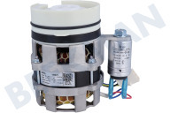 Pumpe geeignet für u.a. GV6SY2W, GV54311 Zirkulatiob