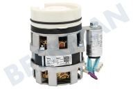 Etna Spülmaschinen 453854 Umwälzpumpe geeignet für u.a. GVW446ONY, GVW480ONY, EVW870RVS