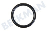 O-Ring geeignet für u.a. ST1124, STX1-4, TGI65520 von Wasserverteiler