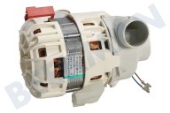 Juno-electrolux 4055070025 Spülmaschine Pumpe geeignet für u.a. ZDU112X, VA6111LT Umwälzpumpe geeignet für u.a. ZDU112X, VA6111LT