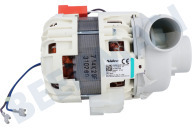 Rex 4055070025 Geschirrspülautomat Pumpe geeignet für u.a. ZDU112X, VA6111LT Umwälzpumpe Nidec geeignet für u.a. ZDU112X, VA6111LT