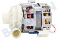 Inventum 30401000233 Spülmaschinen Umwälzpumpe geeignet für u.a. IVW6008A, VVW6030AS