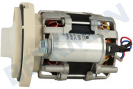 Inventum 30401000573 Spülmaschinen Pumpe geeignet für u.a. VVW6036AW, IVW6050A Umwälzpumpe geeignet für u.a. VVW6036AW, IVW6050A