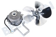 Universell Tiefkühlschrank Motor geeignet für u.a. verschiedene Modelle, rechtsdrehend Ventilator 5W komplet geeignet für u.a. verschiedene Modelle, rechtsdrehend