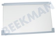 Glasplatte geeignet für u.a. ERB34200W, S60346KG für Kühlschrank