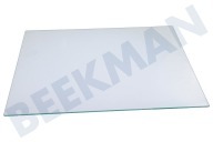 Ikea Kühlschrank 2249119013 Deckerl der Gemüseschale geeignet für u.a. SCT81900S0, HAFTIGT20282367