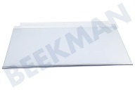 Ikea 4055588182  Glasplatte komplett geeignet für u.a. HAFTIGT20282367, HAFTIGT40282366