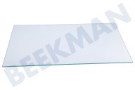 Neue  2649011042 Glasplatte geeignet für u.a. SCS61400S2, ISANDE