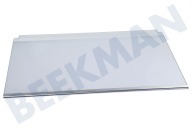 Ikea 140166294011 Eiskast Glasplatte komplett geeignet für u.a. KOLDGRADER, ISANDE, ENS6TE19S