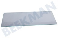 Zanker Eisschrank 2064451145 Glasplatte geeignet für u.a. SKA98800S3, SKS88800C0, ZBA23022SA