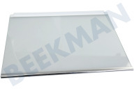 2651087062 Glasplatte geeignet für u.a. SKS8181LDC, SKB61811DS Vollständig, neutral
