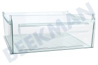 Gefrier-Schublade geeignet für u.a. ERN29600, ERN29850, ERN28600 Transparent 405x368x165mm