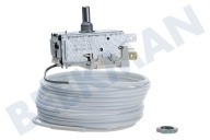 Upo 2054704685 Tiefkühler Thermostat geeignet für u.a. ER8117, KFM335 Ranco K57-L5870 Cap.L = 300cm geeignet für u.a. ER8117, KFM335
