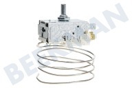 Rex 2262319136 Tiefkühler Thermostat geeignet für u.a. SC818424, ZKK8021, ZI9195 Ranco K57-L5885 Cap.L = 85cm geeignet für u.a. SC818424, ZKK8021, ZI9195