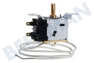 Thermostat geeignet für u.a. GKA165, WV1510, WV0800 2 Kont. Kap.L = 71cm. Hohes Modell