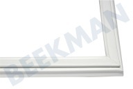 Pitsos 216700, 00216700 Kühlschrank Dichtungsgummi geeignet für u.a. KIM250EU, CK445001, 575 x 535 mm geeignet für u.a. KIM250EU, CK445001,
