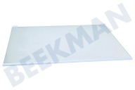 Constructa Tiefkühltruhe 11011742 Glasablage geeignet für u.a. KGN33NL20G01, KGN33NL3001