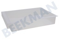 Siemens 444129, 00444129 Kühlschrank Schale geeignet für u.a. KI34VA20, KI26DA20 Transparent 300x210x60mm geeignet für u.a. KI34VA20, KI26DA20