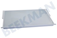 Constructa Tiefkühlschrank 358767, 00358767 Glasplatte geeignet für u.a. KSK38A01, KSR30410, KS30RN11