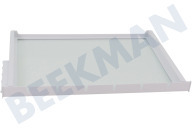 Neff 11028305 Tiefkühlschrank Glasteller geeignet für u.a. KI51FSDD0, KIF81HDD0
