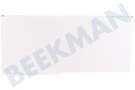 Siemens 11014296 Eiskast Gefrierfachklappe geeignet für u.a. KIF42SD30, KI22LAF40