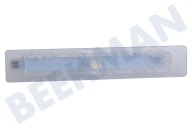 10024284 LED-Beleuchtung