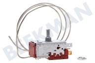 Krting 883119 Kühlschrank Thermostat geeignet für u.a. KK2174A, EEK136VA KDF25L2 geeignet für u.a. KK2174A, EEK136VA