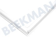 Teka 92980606 Kühlschrank Dichtungsgummi geeignet für u.a. CIC32.10, DAR21 / 10 Gefrierschrank 64x52,5cm geeignet für u.a. CIC32.10, DAR21 / 10